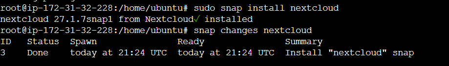 sudo snap command