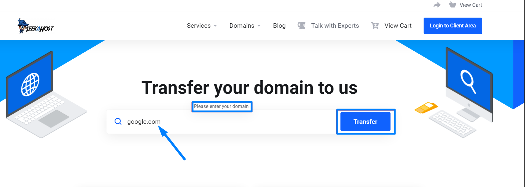 Enter Domain Name to Transfer